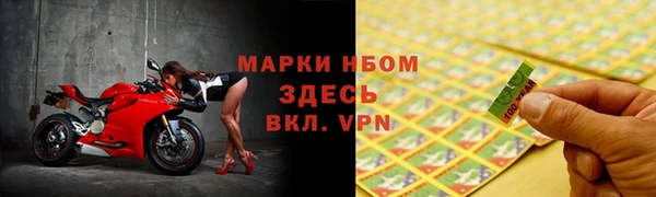 ECSTASY Бикин