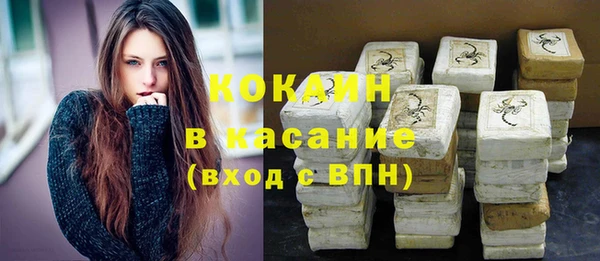 сатива Краснослободск