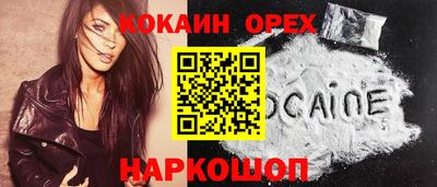 шишки Кимры