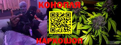 шишки Кимры