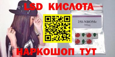 ГАЛЛЮЦИНОГЕННЫЕ ГРИБЫ Кингисепп