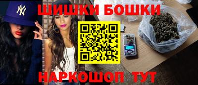 шишки Кимры