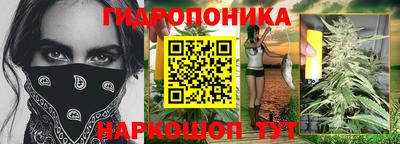шишки Кимры