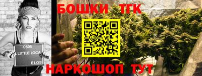 ГАЛЛЮЦИНОГЕННЫЕ ГРИБЫ Кингисепп