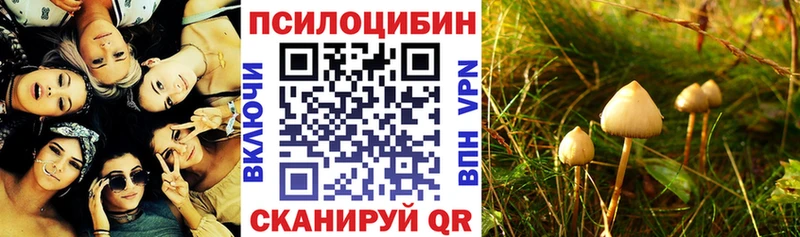 Псилоцибиновые грибы мицелий  Костомукша 