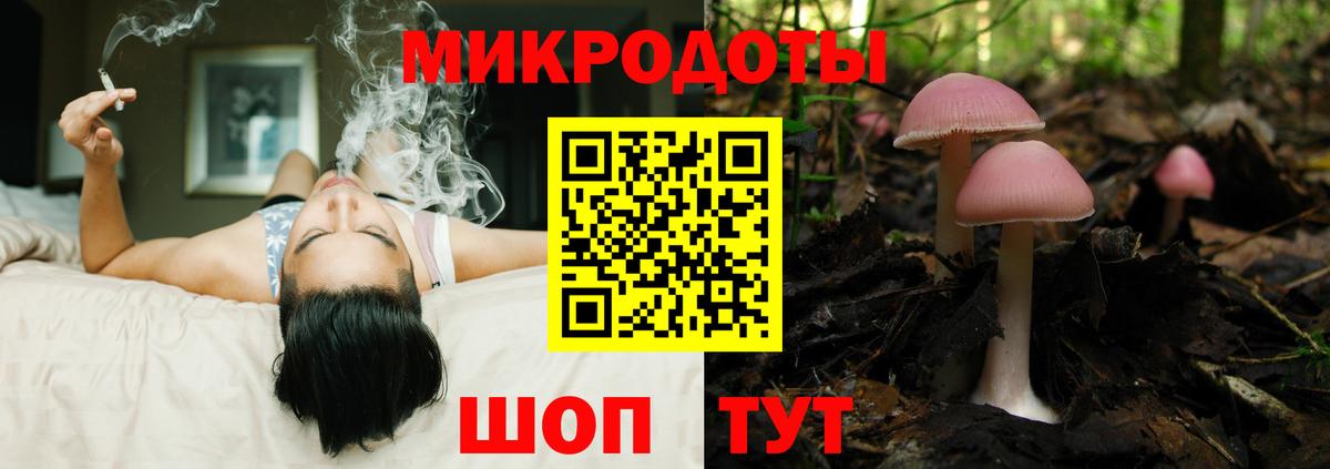 Псилоцибиновые грибы мицелий Костомукша